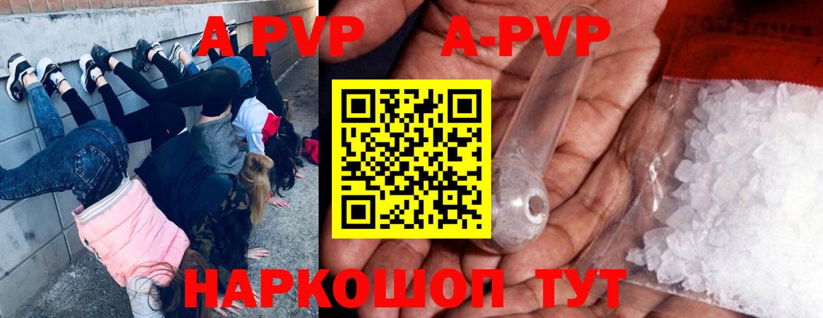Альфа ПВП СК КРИС Лениногорск