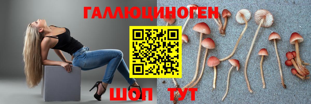 Галлюциногенные грибы мухоморы Лениногорск